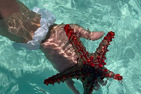 ZANZÍBAR: isla de la Prisión, natación en cuevas y Laguna Azul