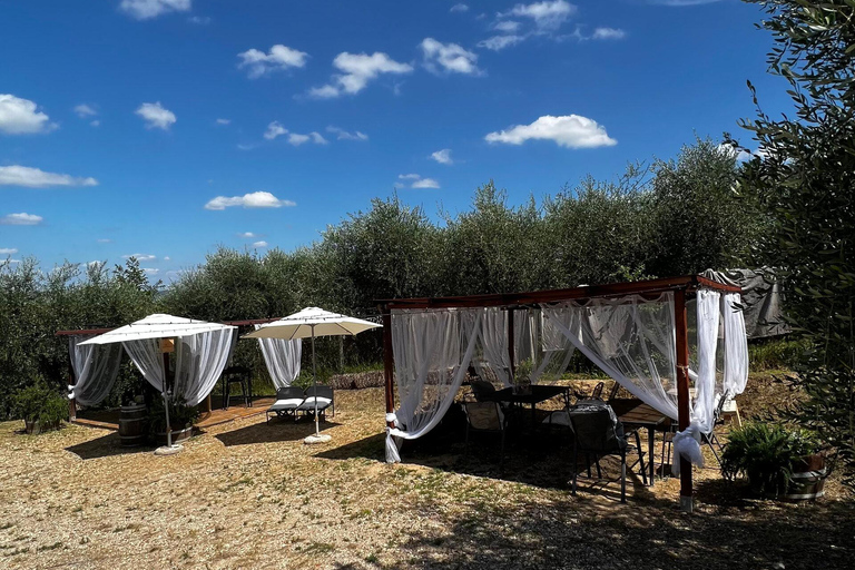 Pisa: Winery Tour and Wine Tasting with Local Food Pairing