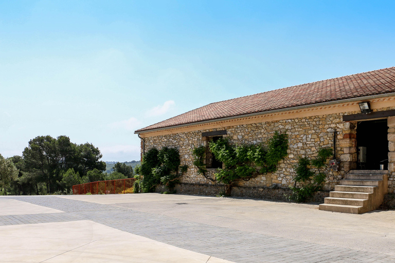 Full tour of the estate and wine tasting at Château Camplazens Visit Julius - Château Camplazens AOP La Clape