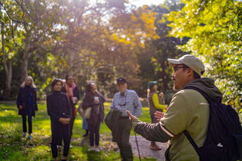 Nueva York: tour oficial a pie por Central ParkTour por las vistas emblemáticas de Central Park