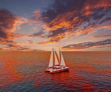 Oranjesta: Sunset Cruise to Boca Catalina with BBQ Dinner