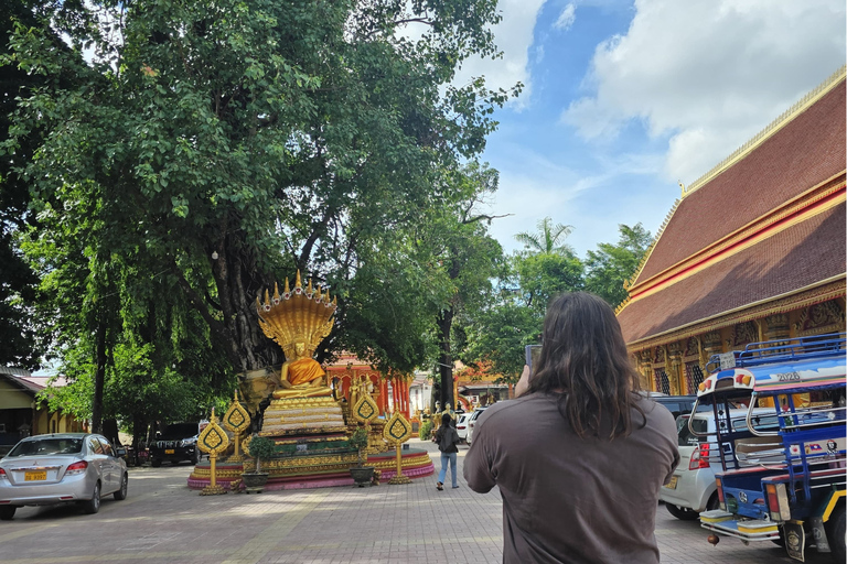 Vientiane: Private Guided City Walking Tour