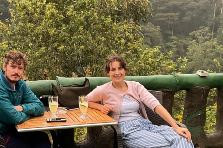 Uganda: 6-Day Gorilla, Chimpanzee, and Golden Monkey Tour