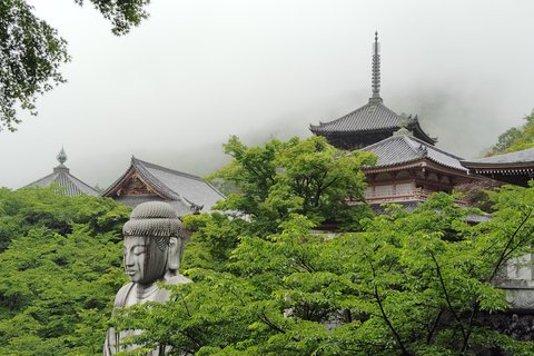 Nara: descubra un gigantesco Buda de piedra en las colinas boscosasNara: descubre un gigantesco Buda de piedra en las colinas boscosas