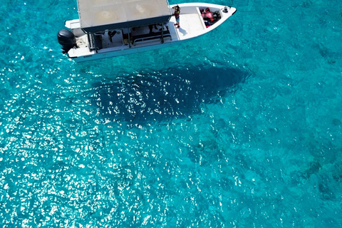 Seebeye: Sea tours to Dimaniyat island