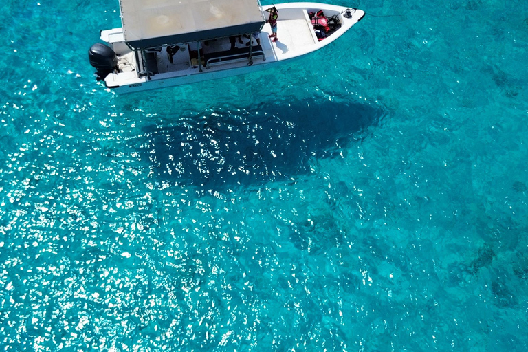 Seebeye: Sea tours to Dimaniyat island