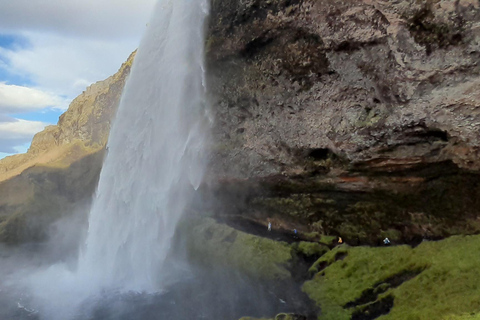 Reikiavik: Tour Privado por la Costa Sur y la Cueva de Hielo de Katla