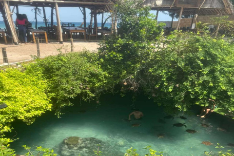 JASKINIA SALAAM: Pływanie z żółwiami i kolacja w restauracji The RockWycieczka obejmuje Odbiór z hotelu i transport powrotny