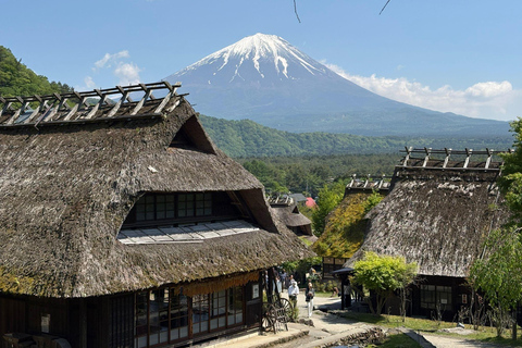 Tokyo: Mount Fuji & Pagoda & Oshino Hakkai & Lake Kawaguchi Route B : Mount Fuji & Hakone Private Customizable Day Trip