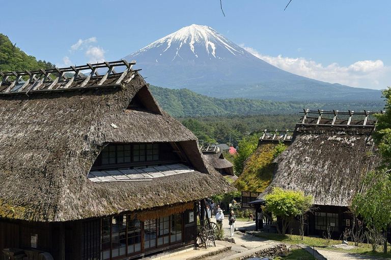 Tokyo: Mount Fuji & Pagoda & Oshino Hakkai & Lake Kawaguchi Route B : Mount Fuji & Hakone Private Customizable Day Trip