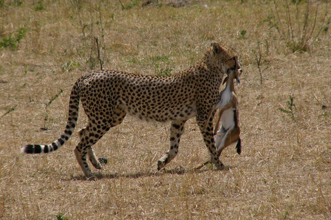 Mombasa: Tsavo East and West 3-Day Private Safari Tour