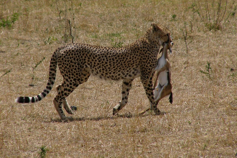 Mombasa: Tsavo East and West 3-Day Private Safari Tour