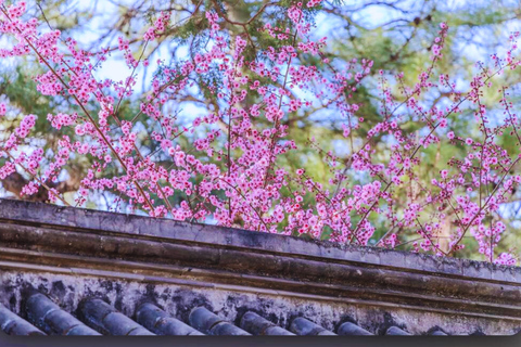 Beijing: Summer Palace Guided Tours & Top Park Combos Private Summer Palace & Old Summer Palace Park Walk Tour