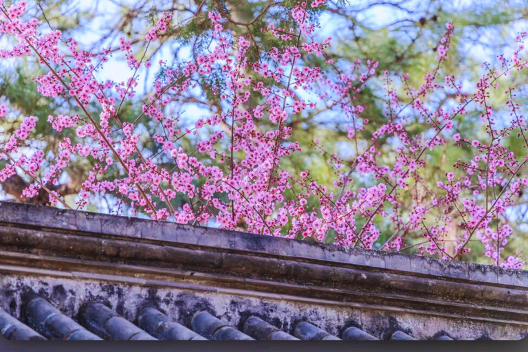 Beijing: Summer Palace Guided Tours & Top Park Combos Private Summer Palace & Old Summer Palace Park Walk Tour