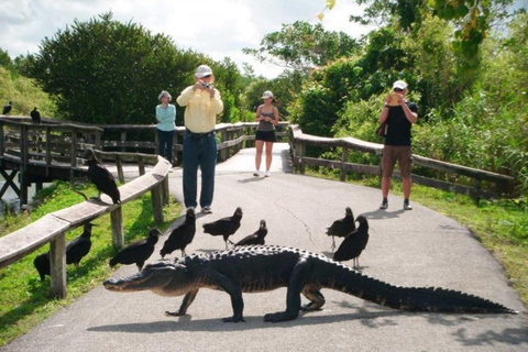 Tour privato delle Everglades da Miami o Fort Lauderdale