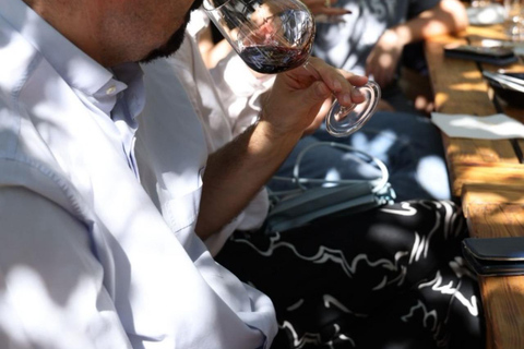 Vlore: Berat Day Trip with Wine Tasting Experience Vlore: Private Berat Day Trip with Wine Tasting Experience