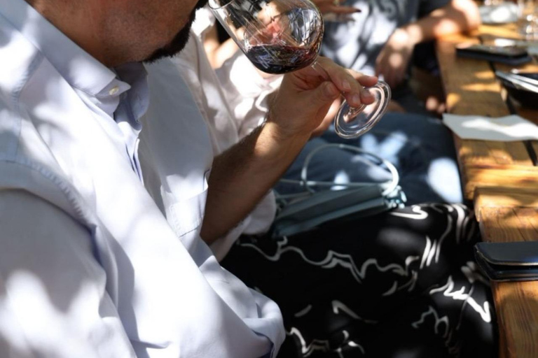 Vlore: Berat Day Trip with Wine Tasting Experience Vlore: Private Berat Day Trip with Wine Tasting Experience