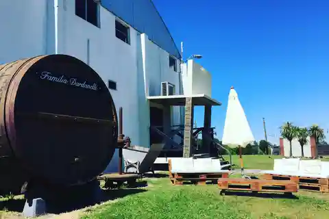 Visita a uma vinícola para cruzeiristas