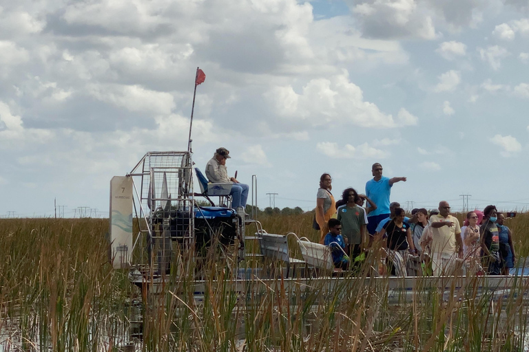 Miami: Everglades Airboat, Wildlife Show & Transfer Spanish