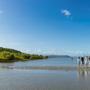Cairns: Aboriginal Coastal Adventure & Mossman Gorge Tour