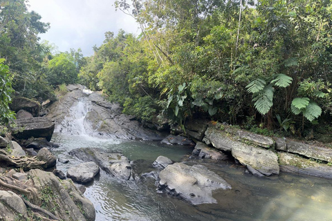 EL YUNQUE &amp; BEACH TOUR: Vattenrutschkana, vattenfall, mat och foton