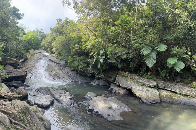 EL YUNQUE &amp; BEACH TOUR: Wasserrutsche, Wasserfall, Essen &amp; Fotos