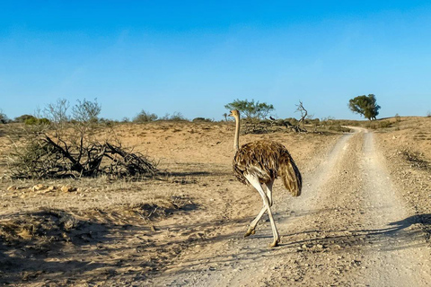 Souss Massa National Park Tour with Museum Visit & Lunch