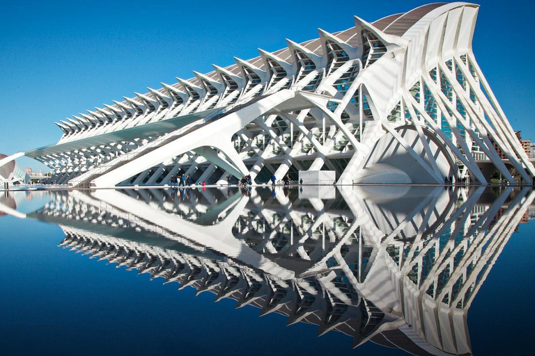 From Alicante: Valencia Full-Day Trip with Guided City Tour