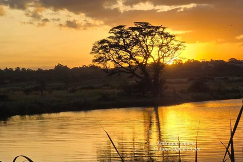 Nairobi National Park Night Safari with Armed Rangers