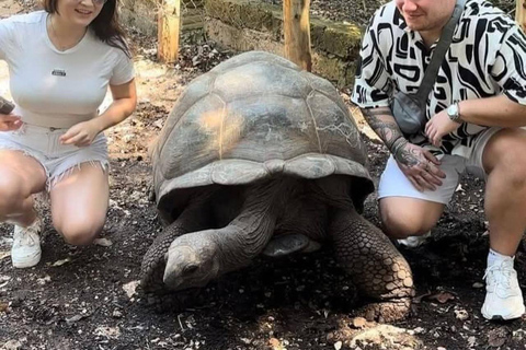 Zanzibar:Sea torttle swim at Salaam & Prison Island Tortoise Private Salaam cave & prison Island. No transfer