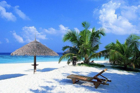 From Negombo: Colombo Private Guided City Tour with Transfer