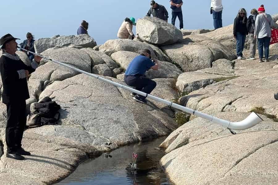 Halifax: Malerische Küstentour nach Peggy’s Cove. Foto: GetYourGuide