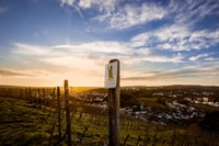 Kellerentdeckerführung 'Ältester Weinkeller Deutschlands' - Housity