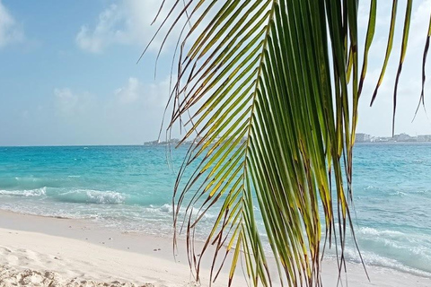 SAN ANDRES: BOAT TRANSFER + JOHNNY CAY + JOHNNY CAY SAN ANDRES: BOAT TRANSFER + JOHNNY CAY