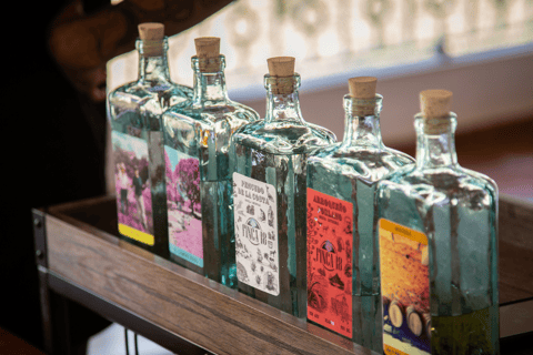 Tour e degustazione di Tequila in campagna con trasporto