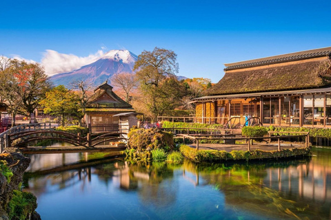 Tokyo: Mt. Fuji & Hakone One-Day Private Customizable Tour