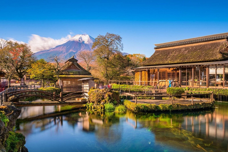 Tokyo: Mt. Fuji & Hakone One-Day Private Customizable Tour