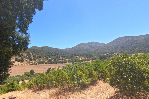 Curacaví Valley: Private Wine Tour of Viña Lopez Pangue and El Cuadro Curacaví Valley: Private Wine Route Tour - Viña Lopez Pangue and El Cuadro