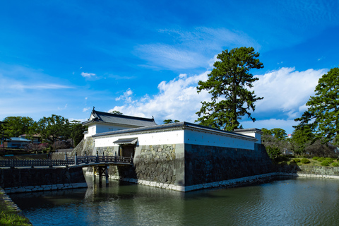Tokyo: Mount Fuji And Hakone Private Tour Full Customizable