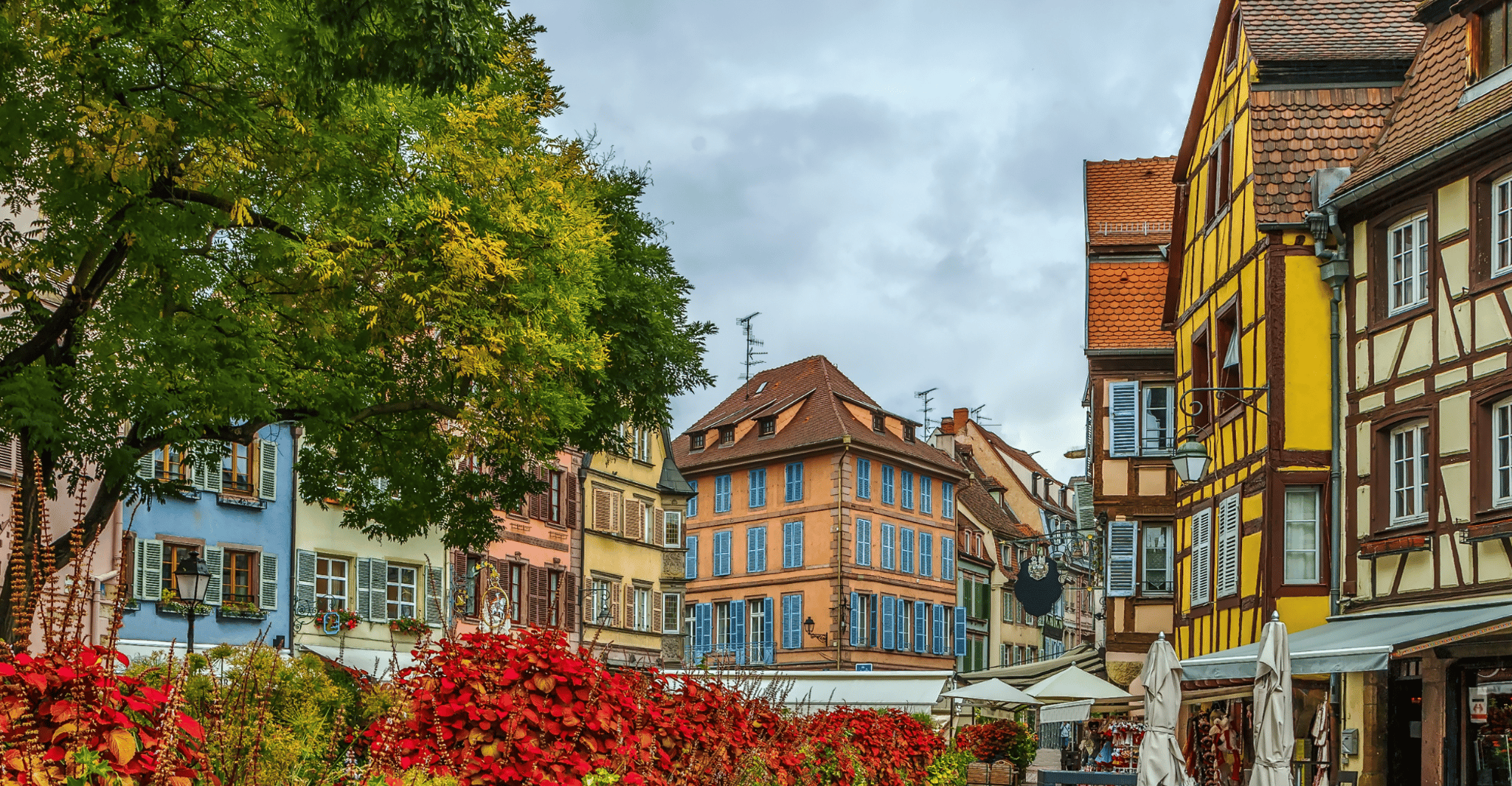 Colmar, First Discovery Walk and Reading Walking Tour - Hizvo