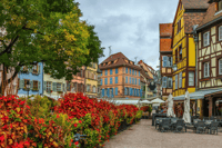 Colmar, erste Entdeckungswanderung und Lesetour - Hizvo