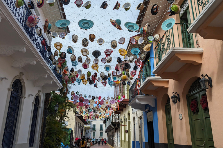 Panama City: Tour del Canale, della Città Vecchia e dell&#039;Amador Causeway