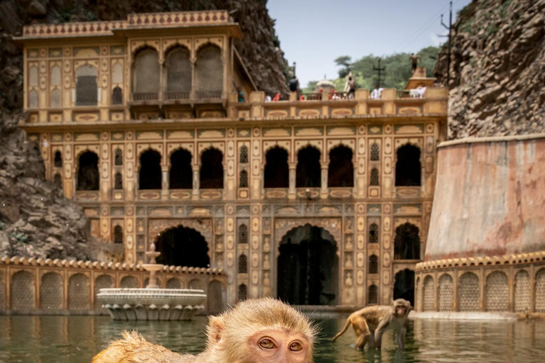 From Delhi: Jaipur Private Day Trip with Monkey Temple Tour with AC Car, Guide and Entry Fee