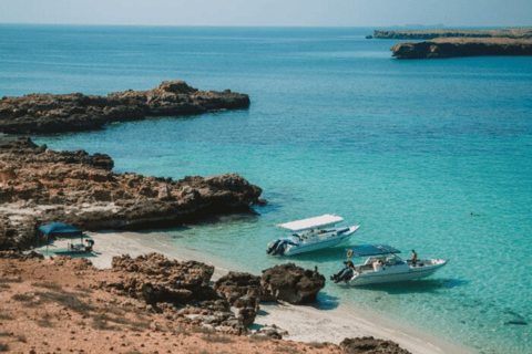 Mascate: Passeio de mergulho com snorkel nas Ilhas Daymaniat com bebidas.