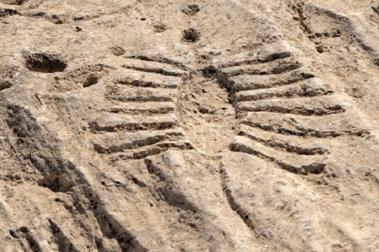 From Doha: Private Al Jassasiya, Zubarah & Purple Island. Private Tour