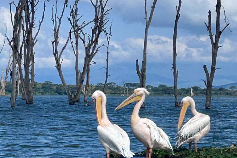 Nairobi: Crescent Island Walking Safari and Lake Naivasha Shared: Crescent Island and Lake Naivasha without Entry Fee