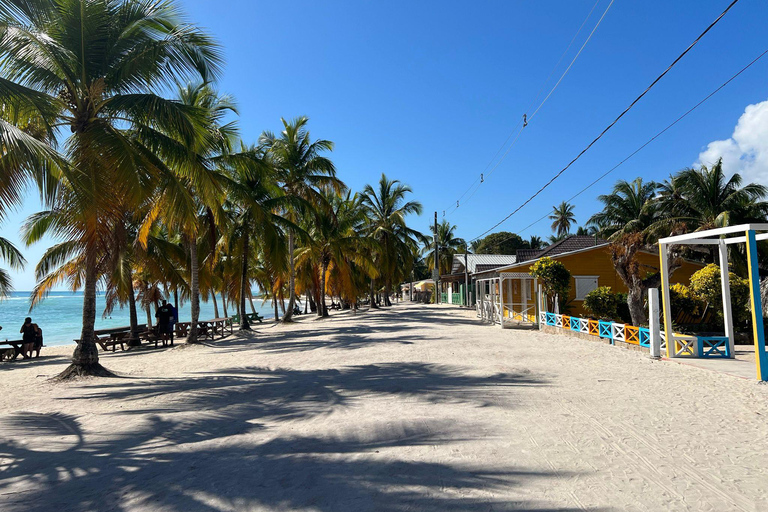 Excursão à Ilha Saona e ao Rio Chavon com almoço e bebidasOpção de excursão regular em grupo compartilhado