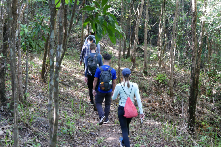 Santuario de My Son y Senderismo de Montaña - PeregrinaciónMi hijo Santuario Viaje de madrugada