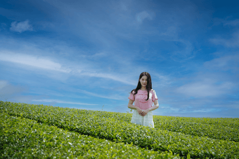 Experiência de fotografia profissional em Jeju LandmarkSUL (SEG/SÁB)