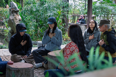 Hong Kong Eco-tourism: Guided Forest Bathing Experience Private Forest Therapy Session